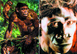 Питекантроп в его традиционной, школьной подаче (слева). Жалкое зрелище, не правда ли? Современная реконструкция Homo erectus, питекантропа (справа).